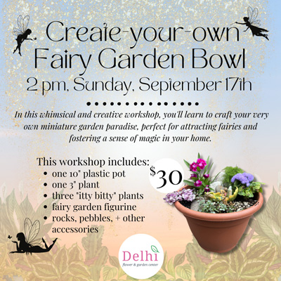 Create your own Fairy Garden Bowl