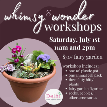 Whimsy and Wonder fairy garden Workshops. Saturday July 1st at 11AM and 2PM.