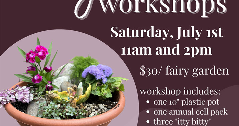 Whimsy and Wonder fairy garden Workshops. Saturday July 1st at 11AM and 2PM.