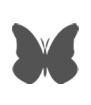 butterflyshadow
