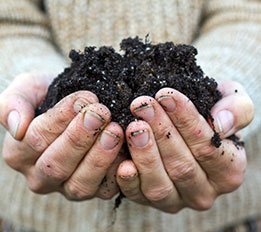 composting - featured image