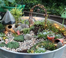 fairy gardens - featured image