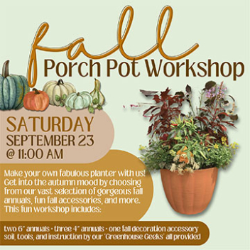Fall porch pot workshop